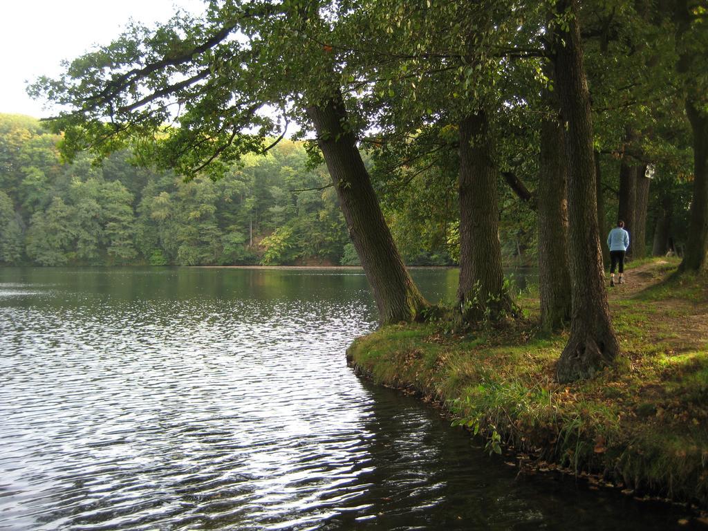 Hotel Villa Rossek Bad Liebenstein Zewnętrze zdjęcie