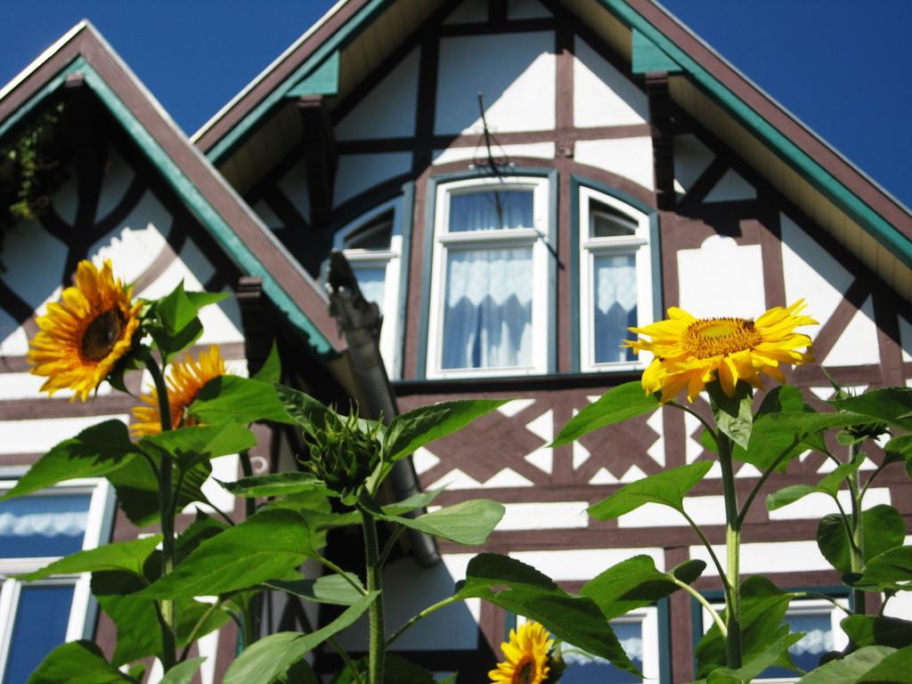 Hotel Villa Rossek Bad Liebenstein Zewnętrze zdjęcie